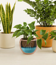 Load image into Gallery viewer, Evening Sky