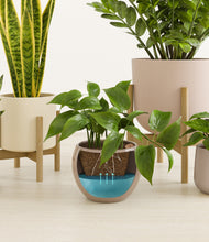 Load image into Gallery viewer, Sandy stand:two_stands