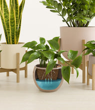 Load image into Gallery viewer, Sandy stand:three_stands