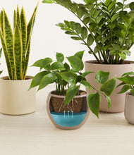 Load image into Gallery viewer, Sandy