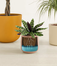 Load image into Gallery viewer, Evening Sky