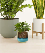 Load image into Gallery viewer, Earthy stand:one_stand