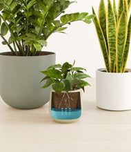 Load image into Gallery viewer, Earthy