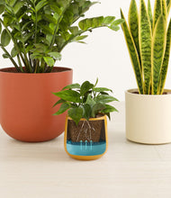 Load image into Gallery viewer, Evening Sky