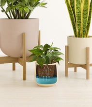 Load image into Gallery viewer, Sandy stand:two_stands