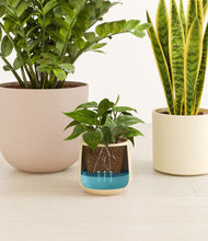 Load image into Gallery viewer, Sandy