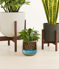 Load image into Gallery viewer, Woodland stand:two_stands