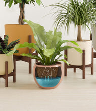 Load image into Gallery viewer, Evening Sky stand:four_stands