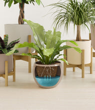 Load image into Gallery viewer, Sandy stand:four_stands