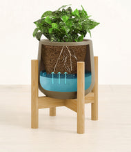 Load image into Gallery viewer, Olive stand:bamboo