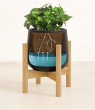 Load image into Gallery viewer, Black stand:bamboo