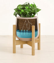 Load image into Gallery viewer, Eternal Gray stand:bamboo