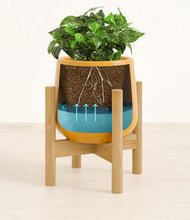 Load image into Gallery viewer, Mustard stand:bamboo