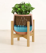 Load image into Gallery viewer, Calm Rose stand:bamboo