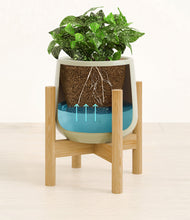 Load image into Gallery viewer, Turquoise stand:bamboo