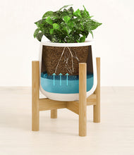 Load image into Gallery viewer, White stand:bamboo