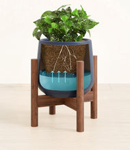 Load image into Gallery viewer, Deep Navy stand:walnut