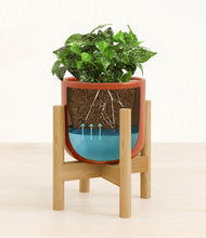 Load image into Gallery viewer, Glossy Red stand:bamboo