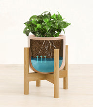 Load image into Gallery viewer, Glossy Pink stand:bamboo