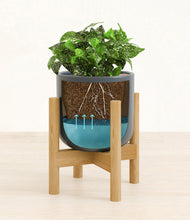 Load image into Gallery viewer, Iron Gray stand:bamboo