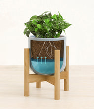 Load image into Gallery viewer, Misty Blue stand:bamboo