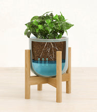 Load image into Gallery viewer, Misty Blue stand:bamboo