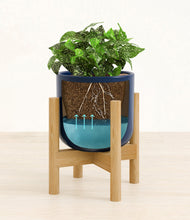 Load image into Gallery viewer, Twilight Blue stand:bamboo