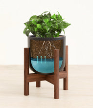 Load image into Gallery viewer, Stone Black stand:walnut