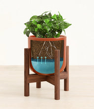 Load image into Gallery viewer, Glossy Red stand:walnut