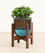 Load image into Gallery viewer, Iron Gray stand:walnut