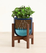 Load image into Gallery viewer, Twilight Blue stand:walnut