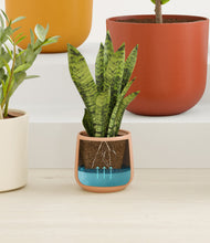 Load image into Gallery viewer, Evening Sky