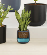 Load image into Gallery viewer, Mountain Top