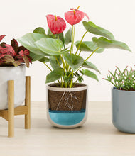 Load image into Gallery viewer, Frosted Lagoon stand:one_stand