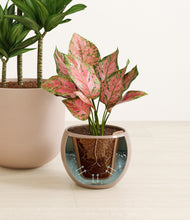 Load image into Gallery viewer, Sandy stand:all