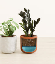 Load image into Gallery viewer, Candy Cane