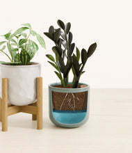 Load image into Gallery viewer, Crystal Mirage stand:one_stand