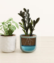 Load image into Gallery viewer, Frosted Lake stand:one_stand