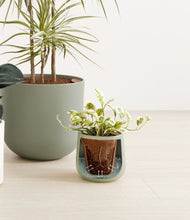 Load image into Gallery viewer, Earthy stand:all