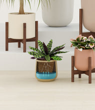 Load image into Gallery viewer, Evening Sky stand:six_stands