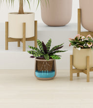 Load image into Gallery viewer, Sandy stand:four_stands