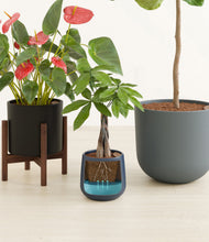 Load image into Gallery viewer, Charcoal stand:one_stand