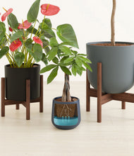 Load image into Gallery viewer, Charcoal stand:two_stands