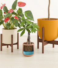 Load image into Gallery viewer, Evening Sky stand:two_stands