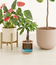 Load image into Gallery viewer, Sandy stand:one_stand