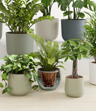 Load image into Gallery viewer, Countryside stand:all