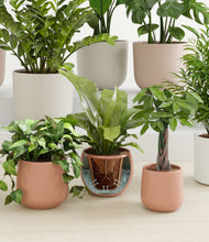 Load image into Gallery viewer, Evening Sky stand:all