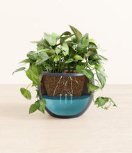 Load image into Gallery viewer, Deep Navy