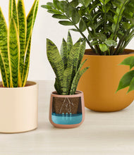 Load image into Gallery viewer, Evening Sky