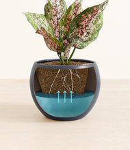 Load image into Gallery viewer, Deep Navy